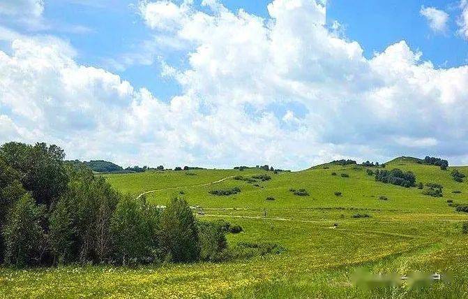 7月810日德力格爾景區歐李山觀景臺元寶楓王祈福烏蘭木圖山福宇文化園