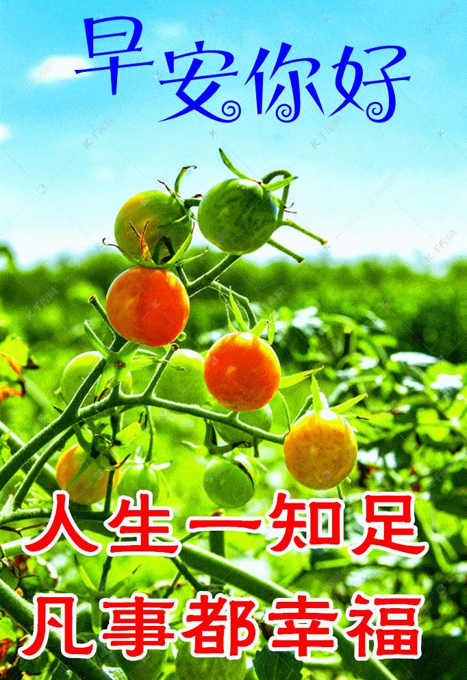 6月27日最新早上好祝福动态表情图片大全早上好问候语句子