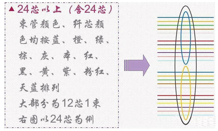 熔纤颜色顺序24芯图片