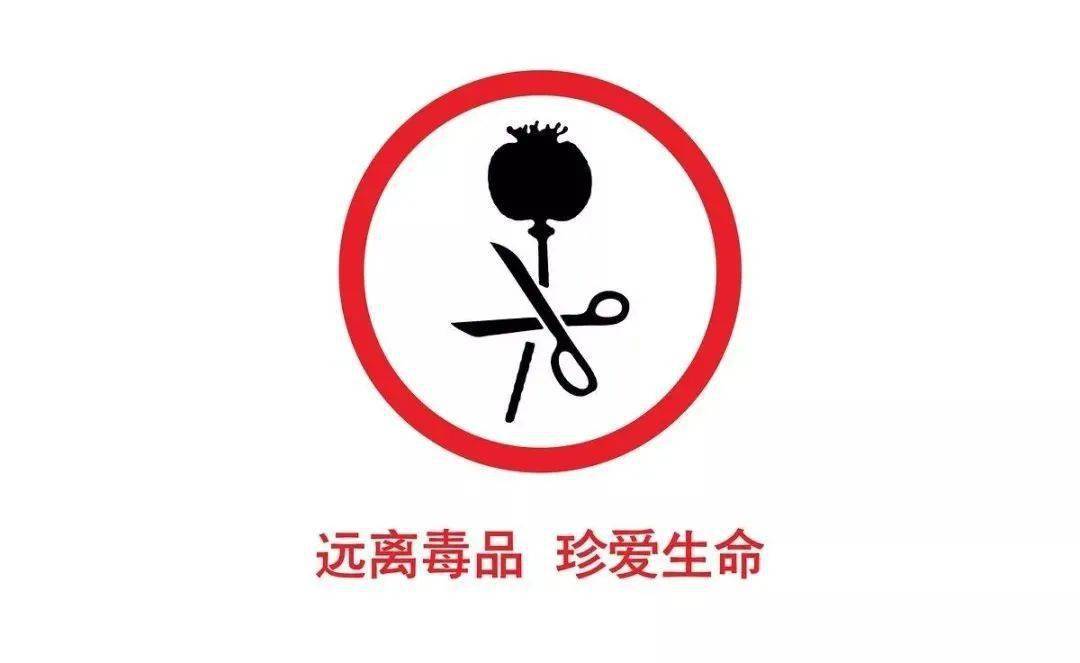 红寺堡区开展626国际禁毒日暨喜迎二十大禁毒我参与主题实践活动