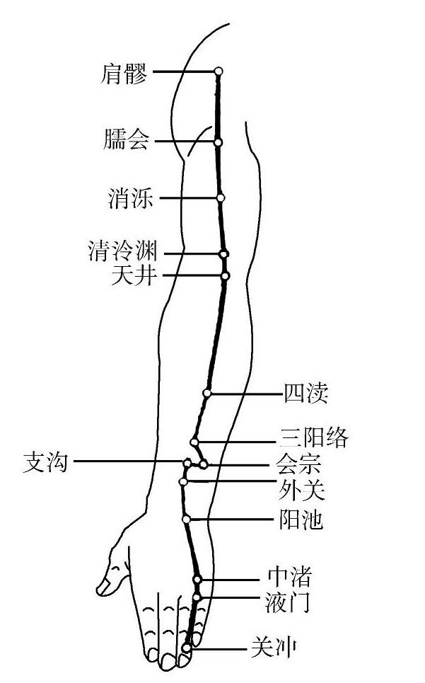 手臂全息反射区图图片