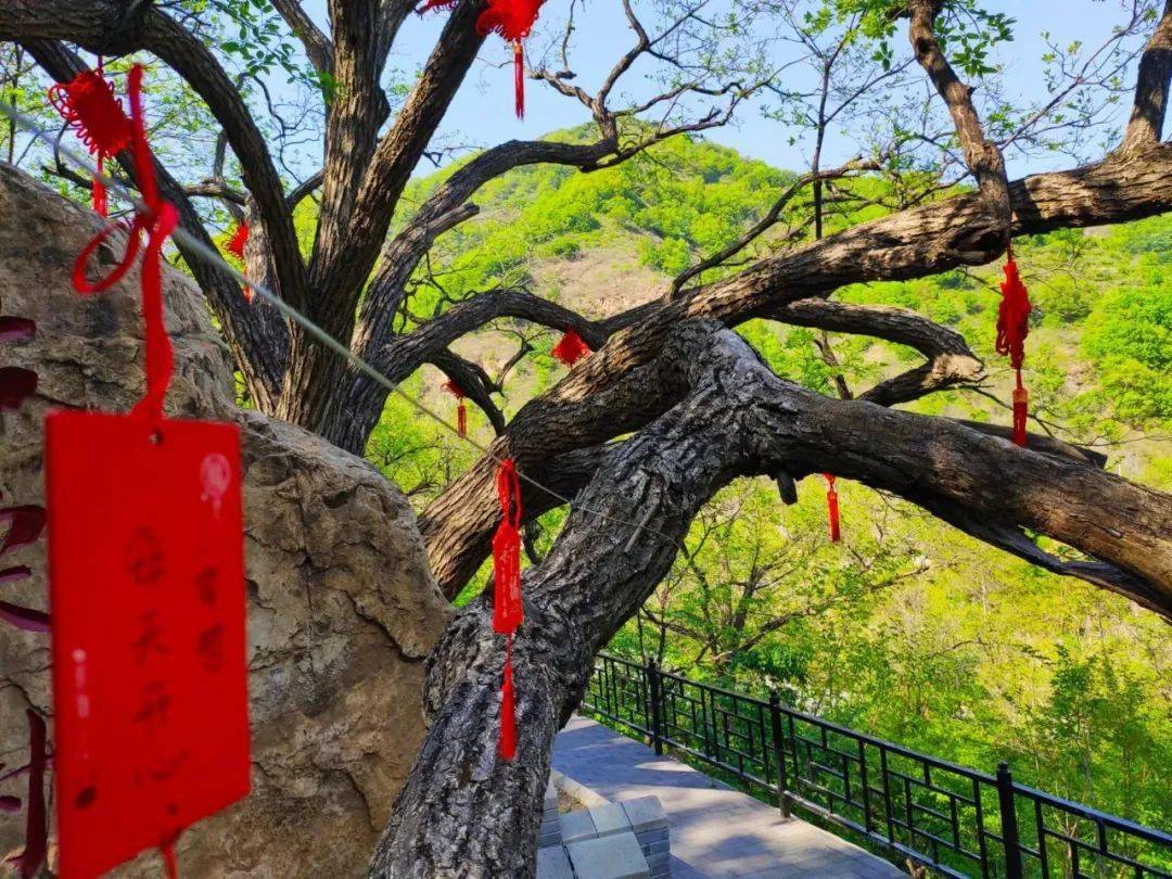 朝阳梨树沟风景区地址图片