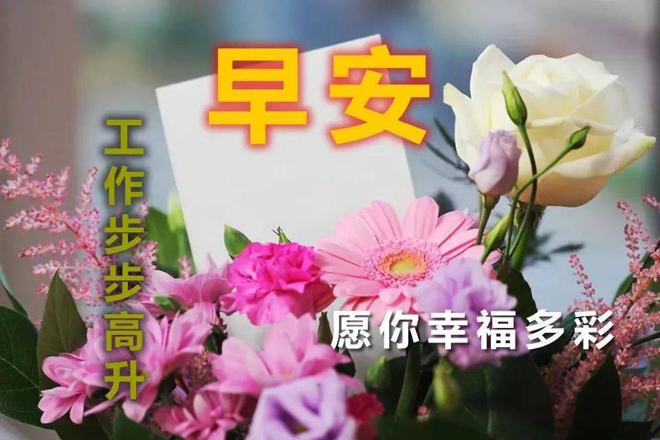 6月29日早上好朋友超好看的早上好溫馨祝福語錄圖片清晨問候大家早上