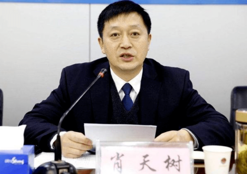 咸宁市人民政府原党组成员,副市长,市公安局局长肖天树被开除党籍