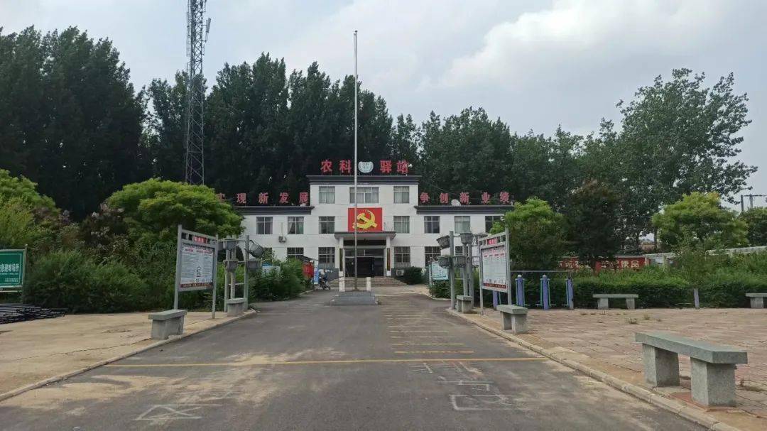 澳门永利贵宾会网址|青青草国产线观观看|不忘初心担使命党建引领促发展 张庄镇矬草