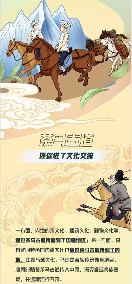 铸牢中华民族共同体意识丨第六期茶马古道