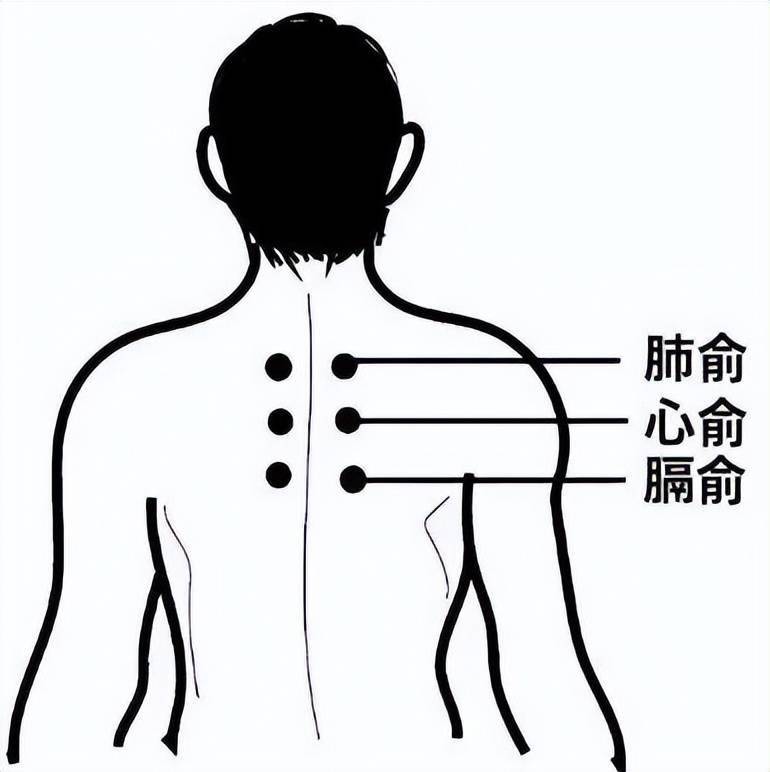 小儿宣肺贴膏的贴法图图片