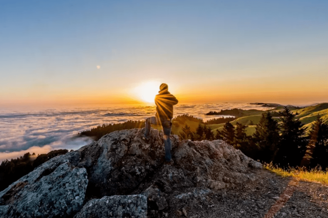人的命,天注定!(深度好文)