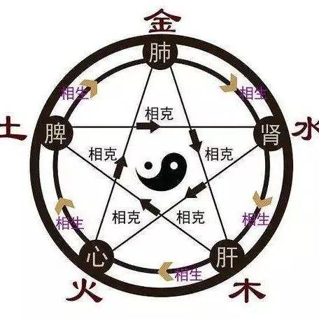 五行、 五脏、五腑、 五官、 五华、 五味、五色、 五情、五液和身体的调养全在这儿!_食物_器官_小肠