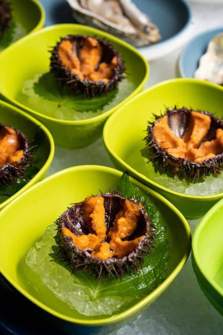 298/享【悦鼎汇海鲜姿造】1大1小 (1.4m)豪华海鲜自助餐!