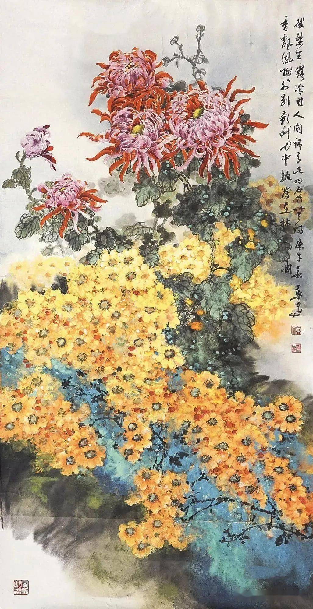 菊花王子叶泉