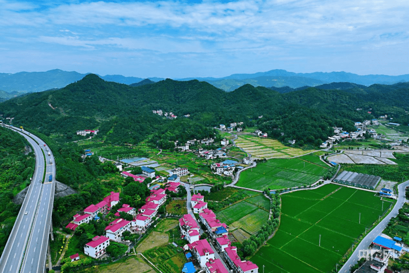 【航拍赣鄱】青山绿水 夏日乡村入画来