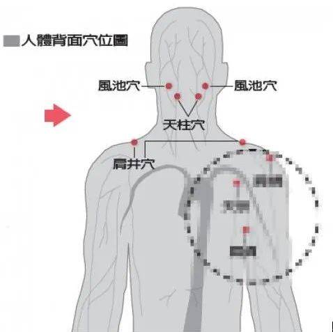 肩颈堵了,这些问题就来了!_穴位_天柱_颈椎
