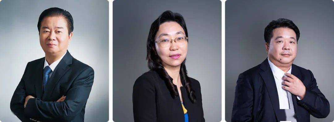 郭英兰_林龙_公司