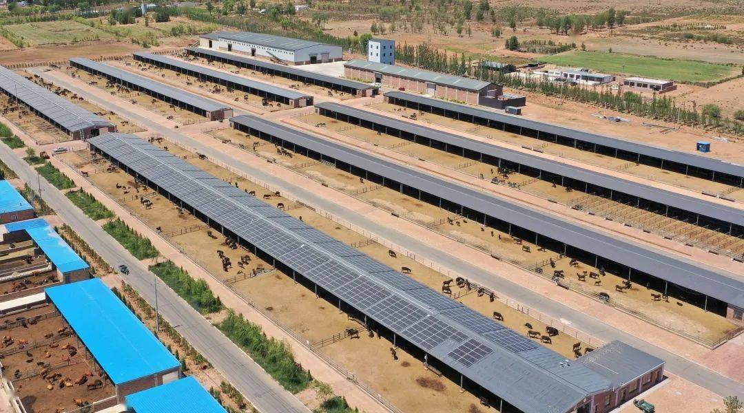 农牧业驴舍迎来了光伏发电