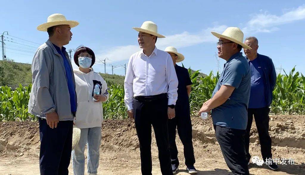 刘学强深入榆中北部山区查看旱情并指导抗旱救灾工作