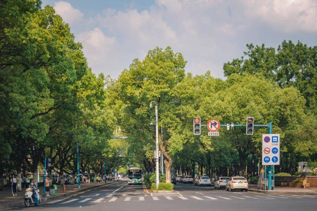 二里半的三棵树,亦或是湘江边的落霞,橘子洲头的烟火,岳麓山巅的日出