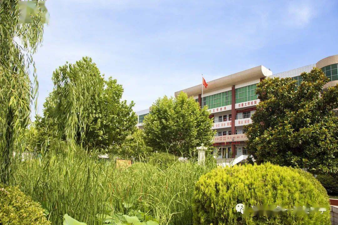 延津实验中学复习班招生报名本阶段将于7月5日截止下阶段报名时间是