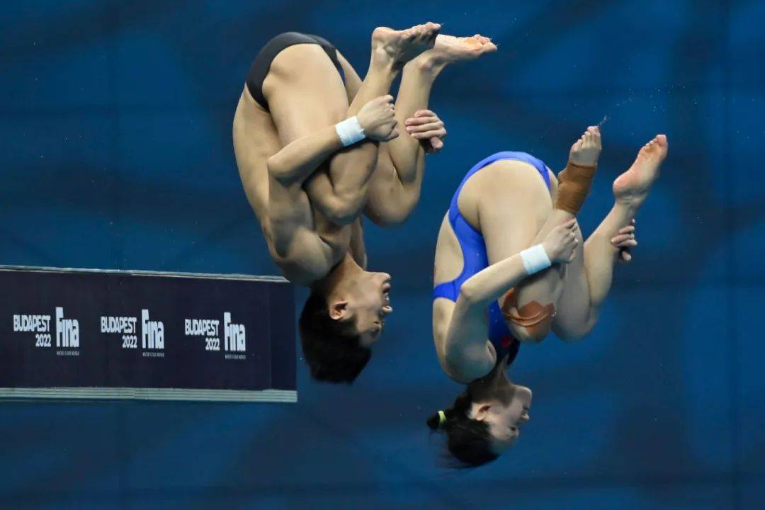 yyds！2022国际泳联世锦赛跳水比赛跳水梦之队包揽世锦赛13金，创历史！
