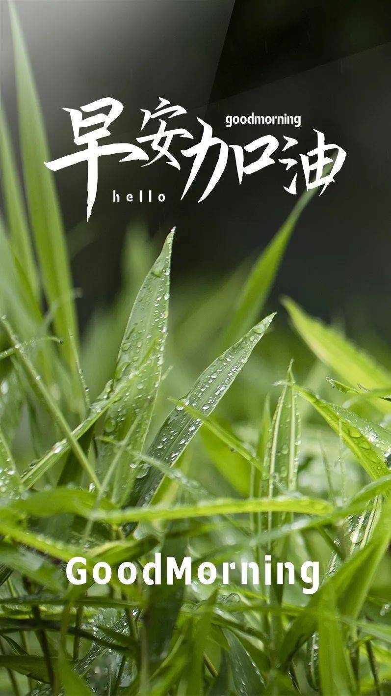 早上好祝福语图片,农历六月初六_天都_折磨_什么