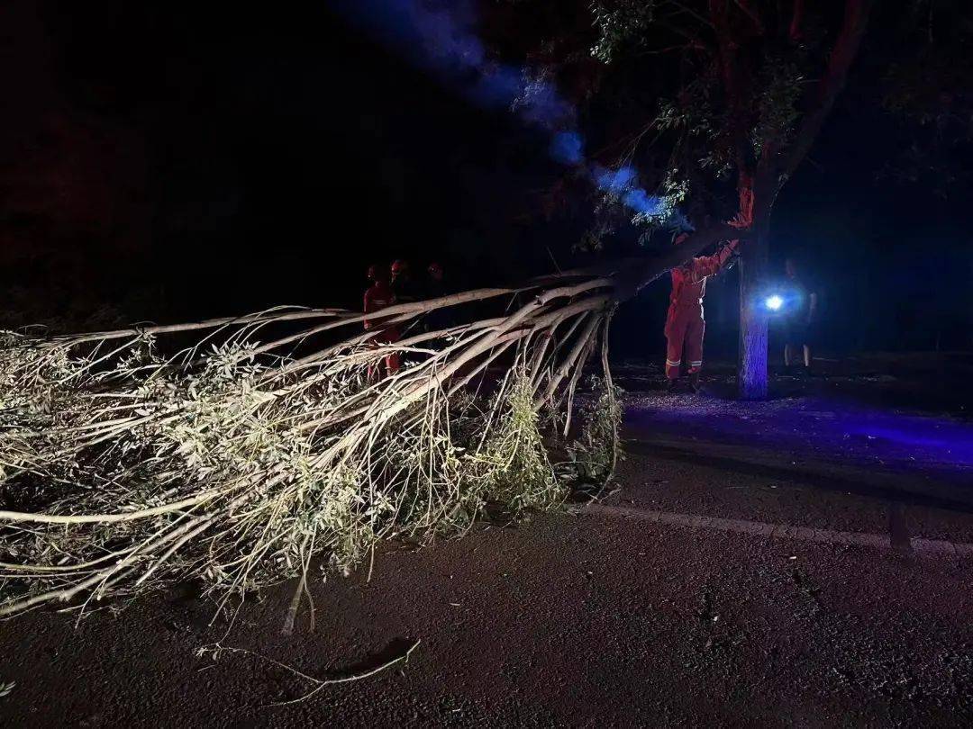 今日新闻|半夜狂风大作,树木拦路,银川消防20分钟处置完成_救援_道路