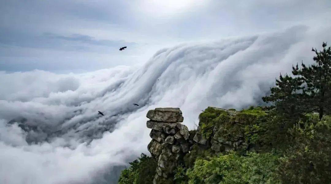 江西各景区纷纷上演云海奇观约吗