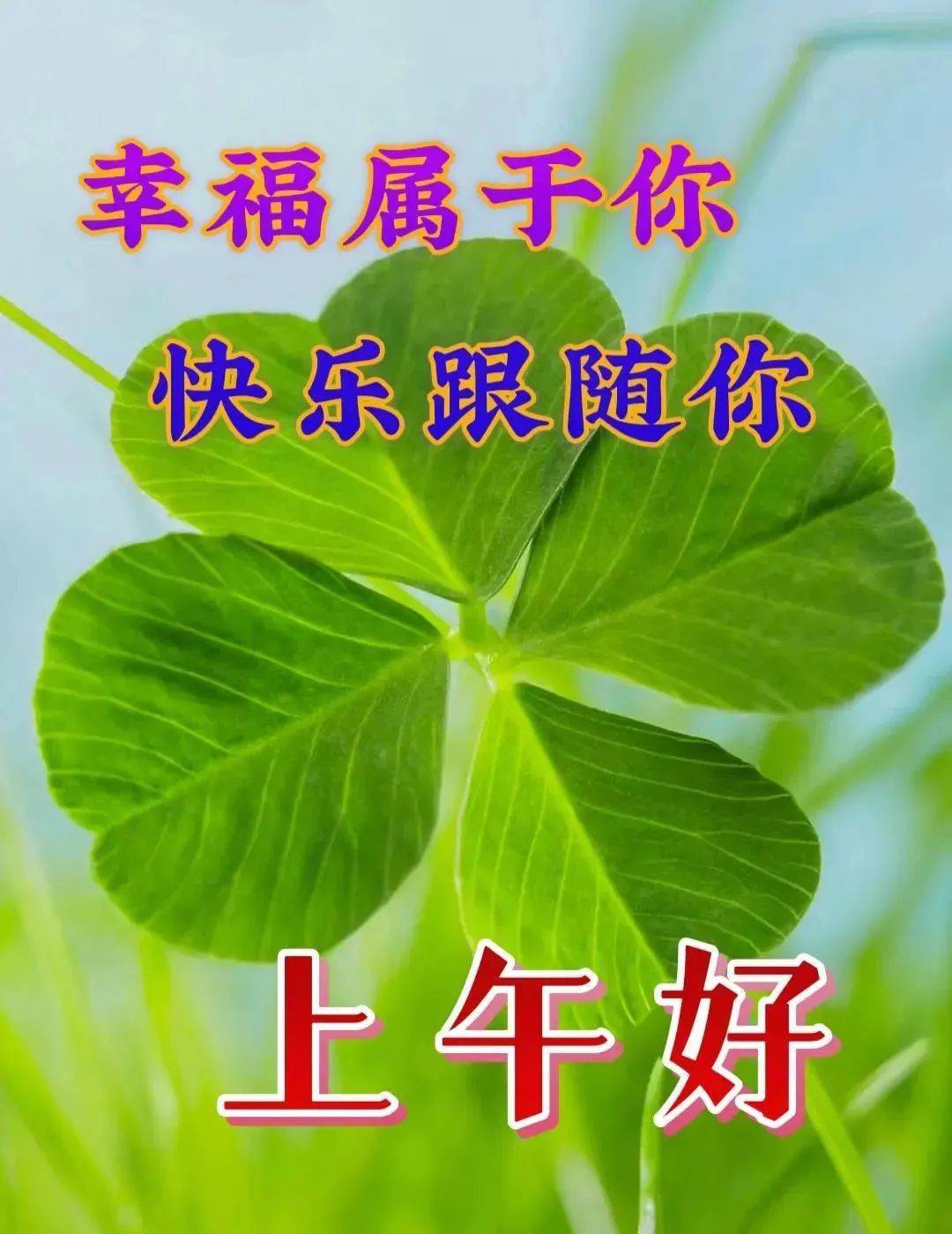 7月5日最新清晨問候大家早上好的漂亮鮮花圖片早上好溫馨祝福語錄圖片