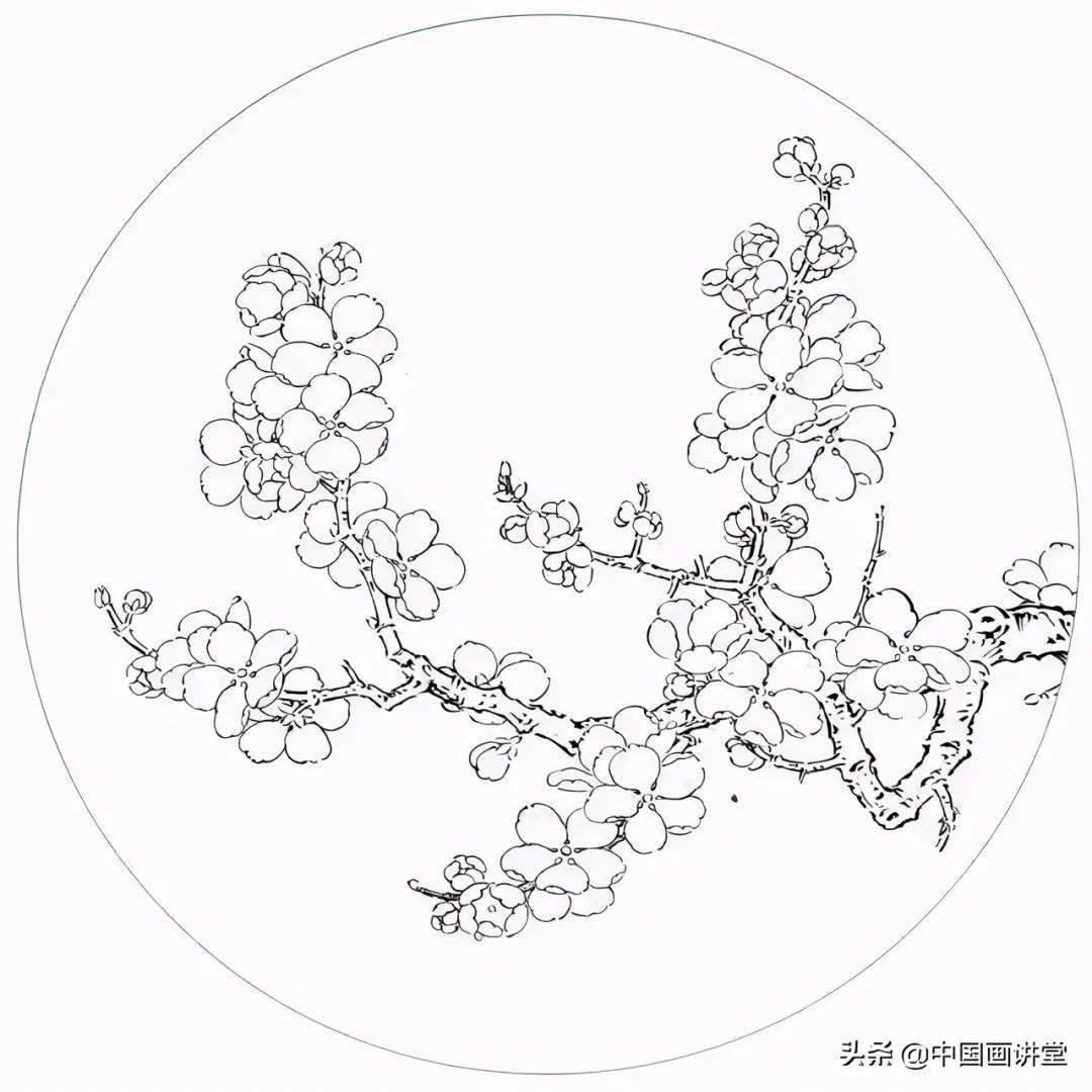 中国传统白描图谱以及白描知识及线描要求