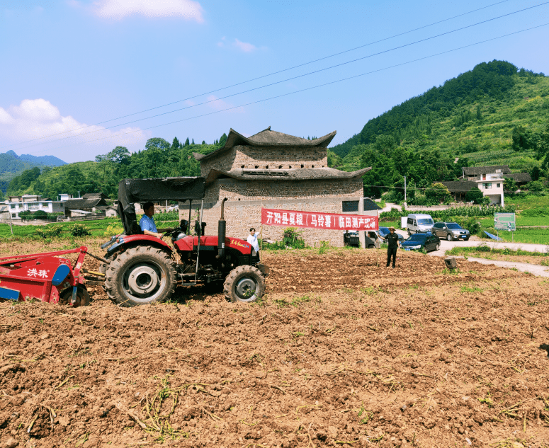 开阳米坪乡伍寨村:20余万斤早熟马铃薯喜获丰收