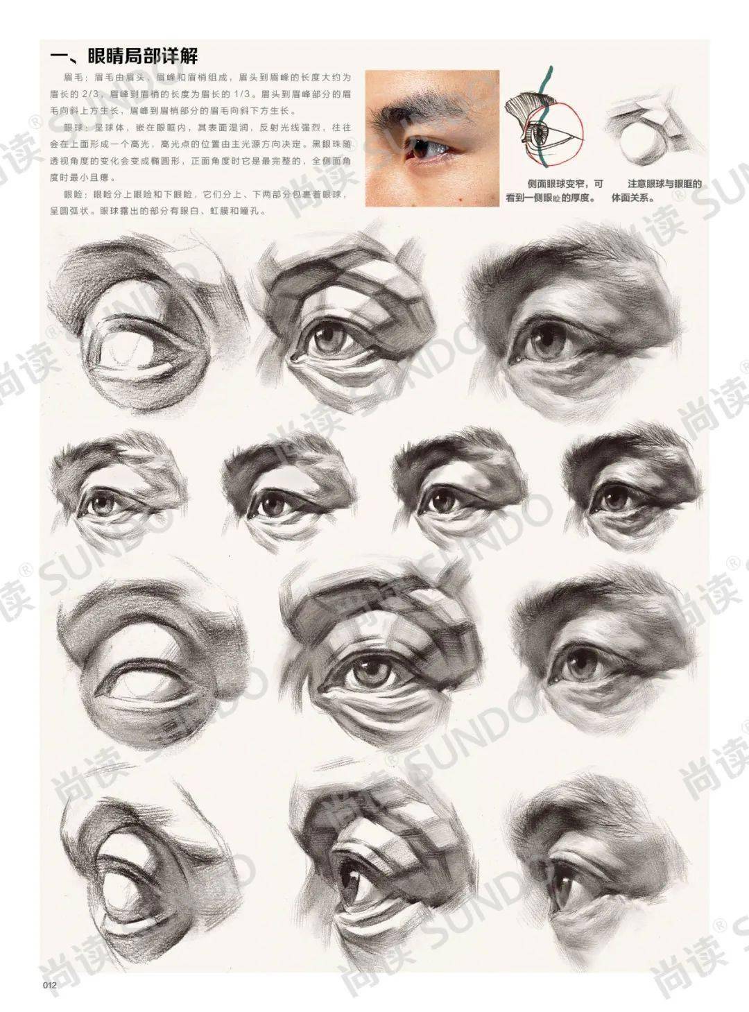 《超级导师2素描头像临摹范本》贾晓羊-生动明确,黑白灰关系强,适用