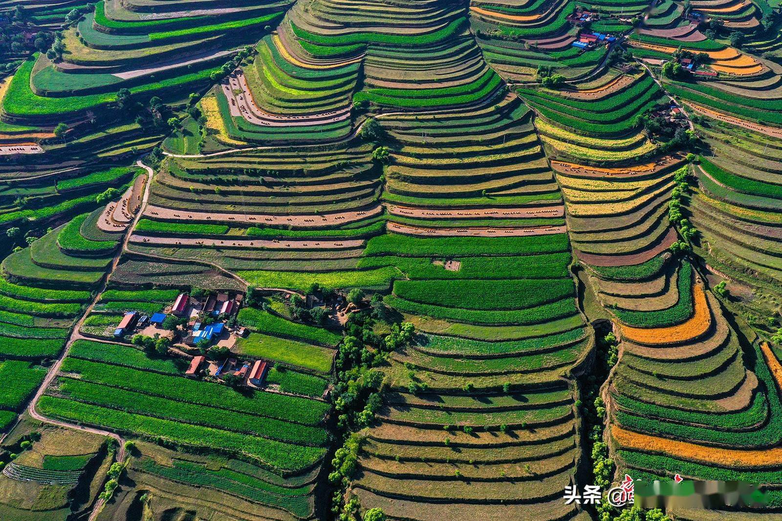 会宁县夏日梯田风光无限好
