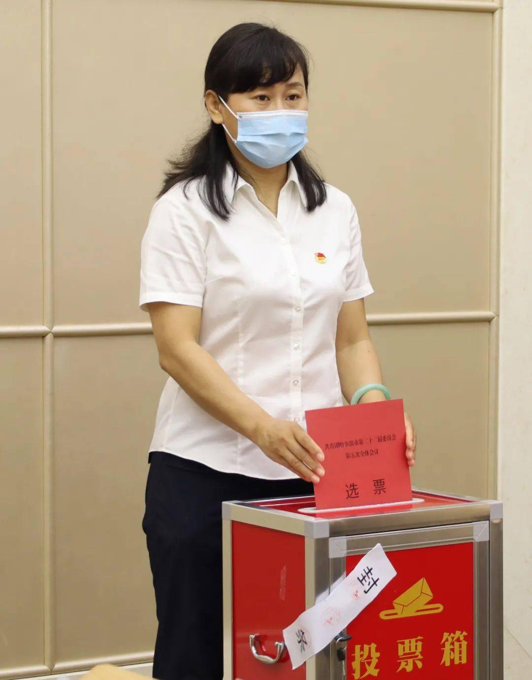 孙海蓓等2名同志为团市委委员;增选李杨等2名同志为常务委员会委员