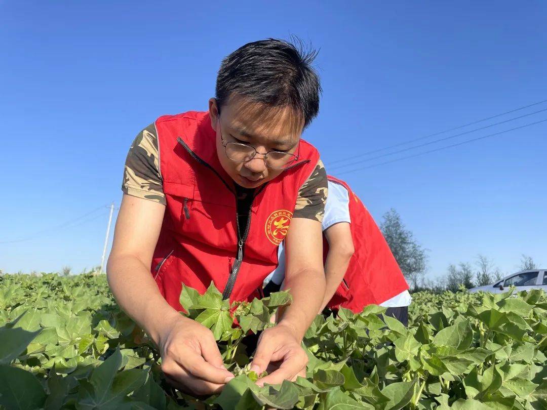 陳瑞 楊強 攝二師鐵門關市人民醫院黨員幹部來少數民族群眾家中開展