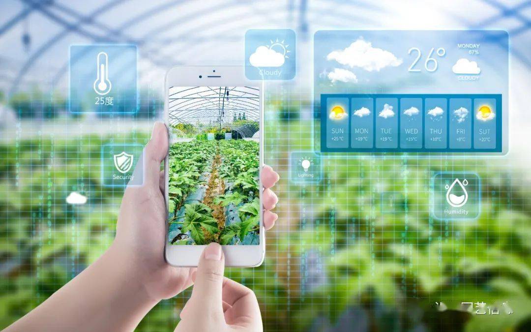 聚焦手机云种菜智能化作业助农增收