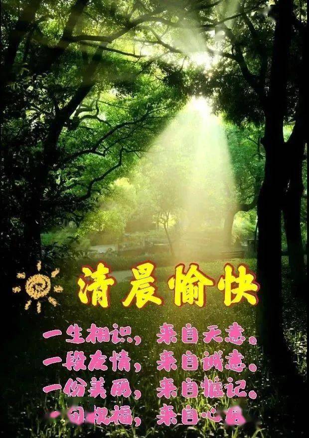 免打字的夏日清晨早上好问候祝福图片带字温馨