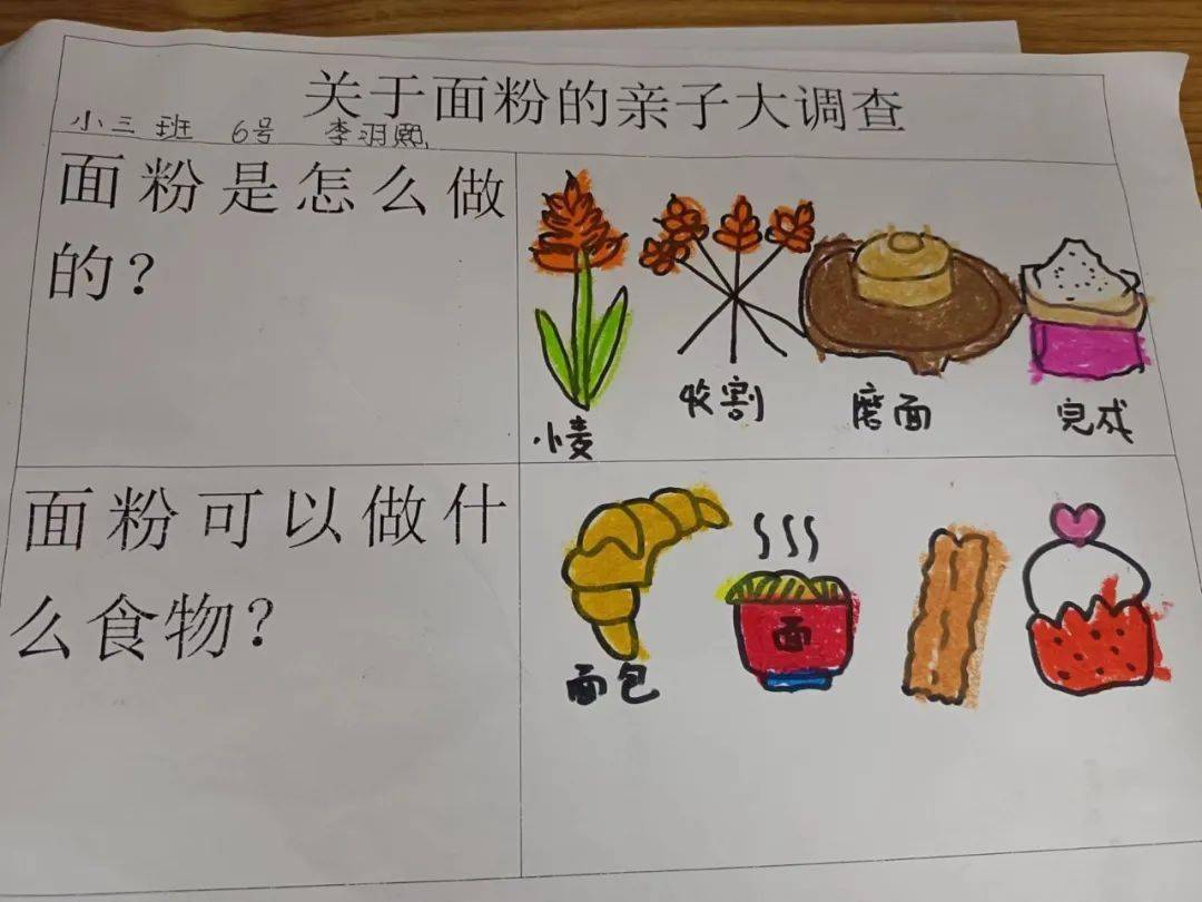 幼儿园小麦主题网络图图片