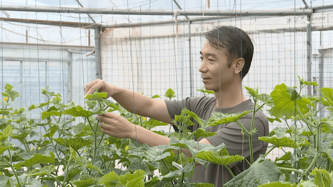 双拥王安文退伍不褪色带领百姓致富