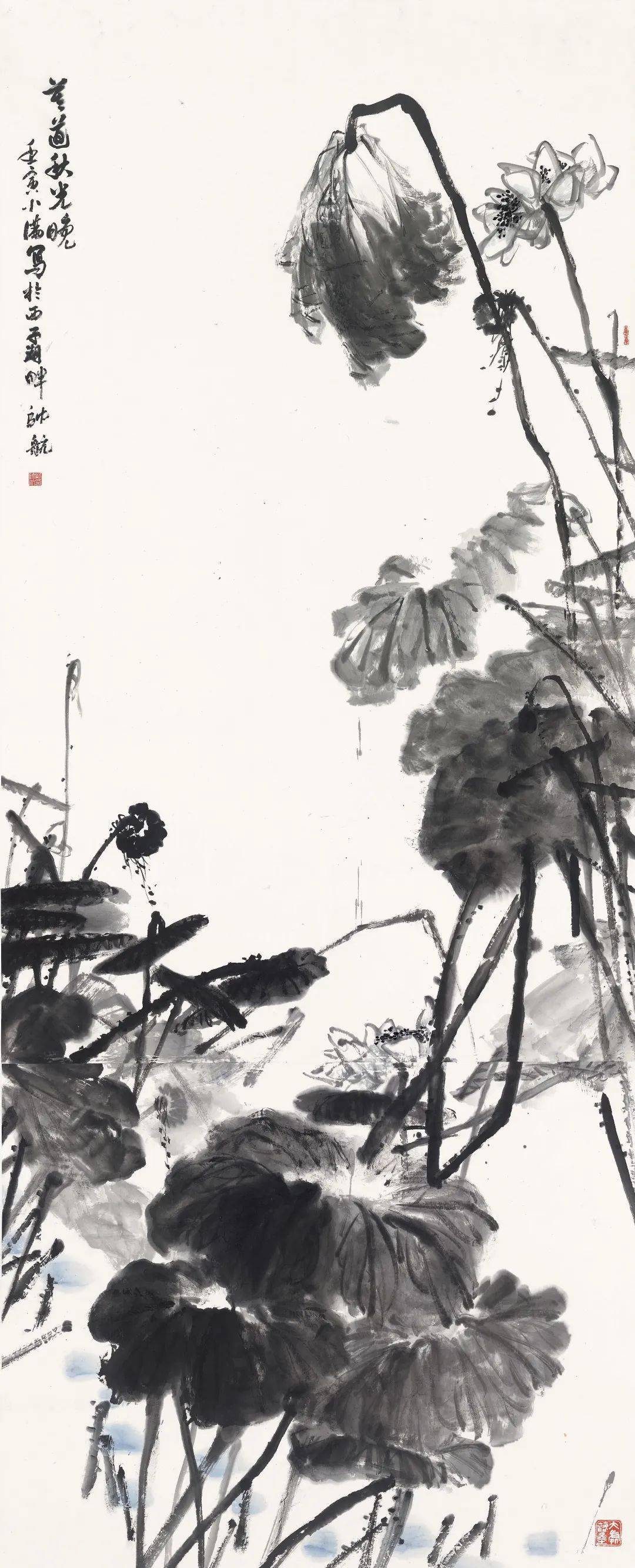 王宝淇 
