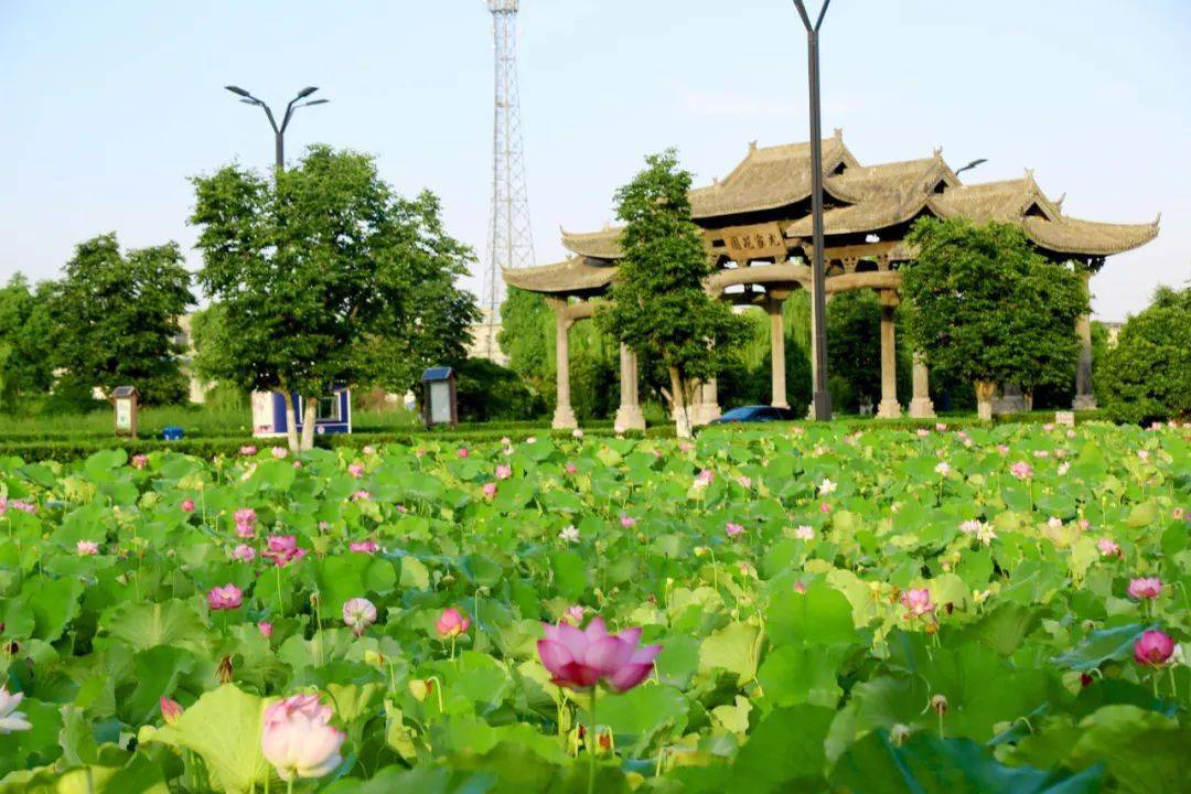 颍上花园小镇图片