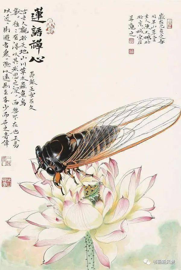 这位画蝉,真蝉!