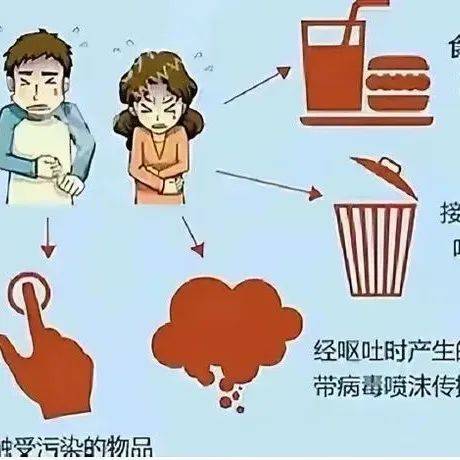 霍乱是什么?啥症状?怎么预防?_传播_污染_病例
