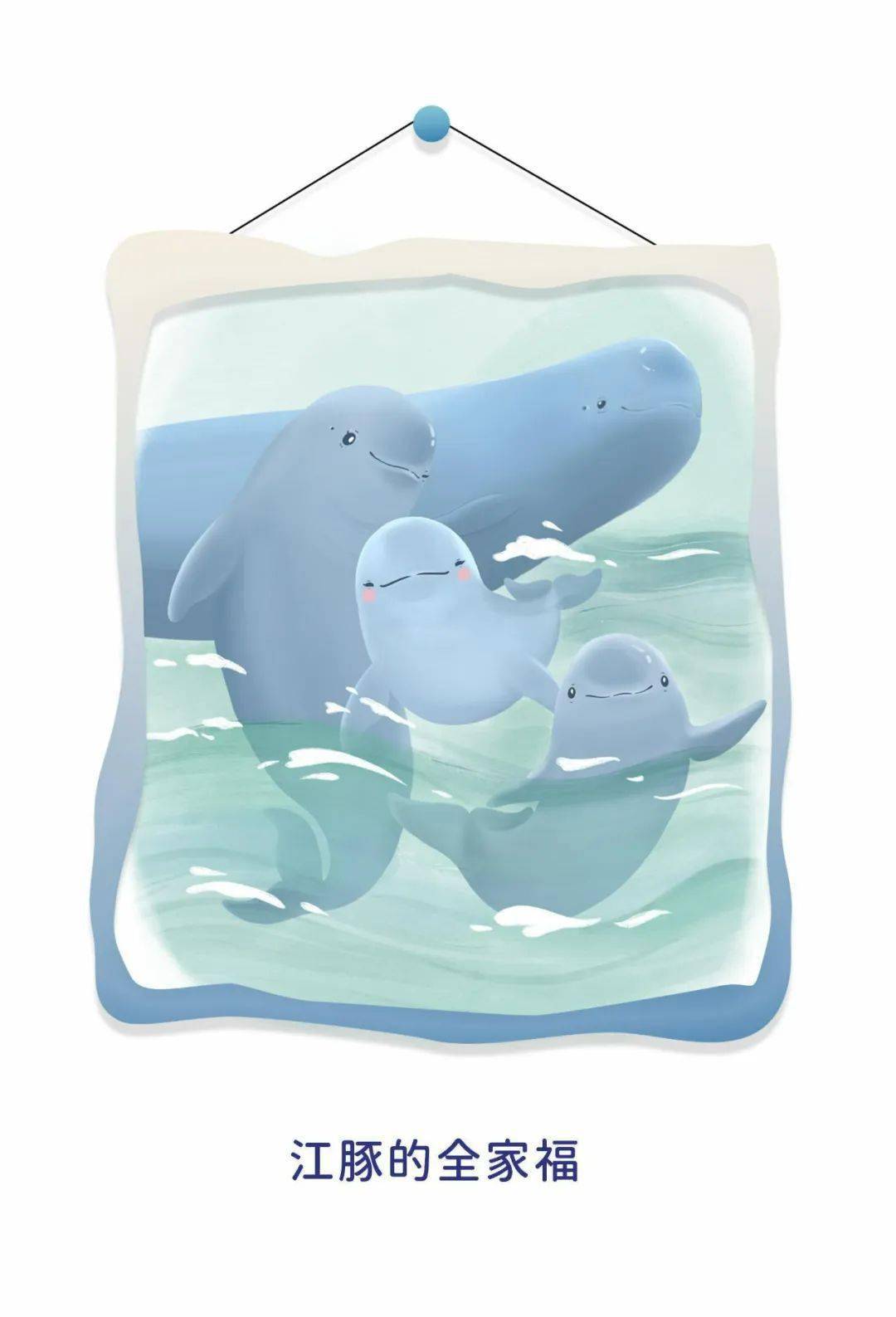 欢迎"f9c22"!长江江豚"英雄母亲"再添丁