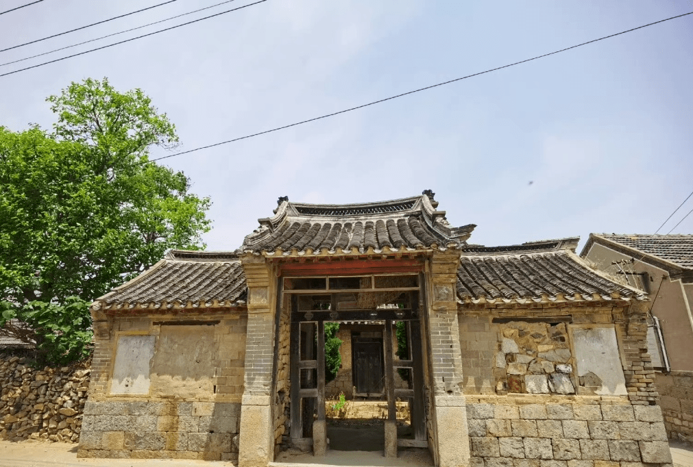 探访即墨栲栳古村百亩荷塘惊艳绽放