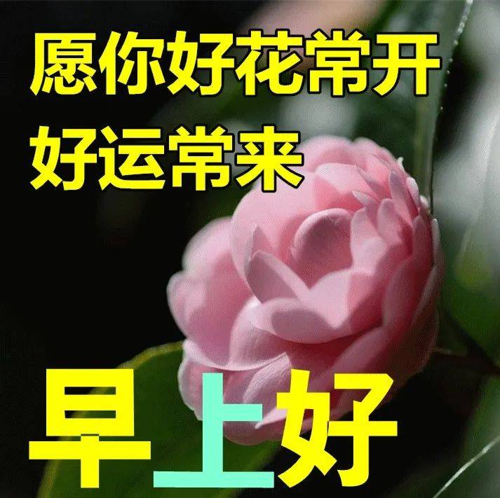 7月13日最新早上好祝福动态表情图片大全，早上好问候语句子！ 人生 许下 都应