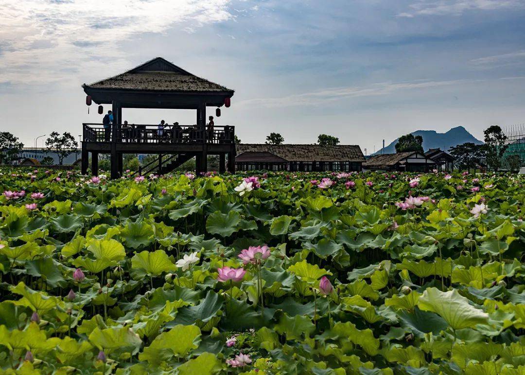 旅游绍兴最美乡村图片