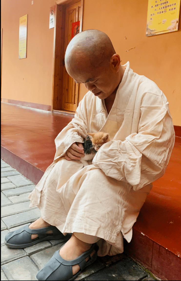 反倒丑的那只,幸运地活了下来.