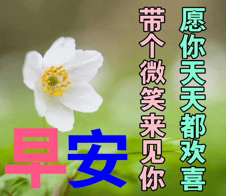 2022入伏早上好表情包吉祥安康愿你天天都欢喜