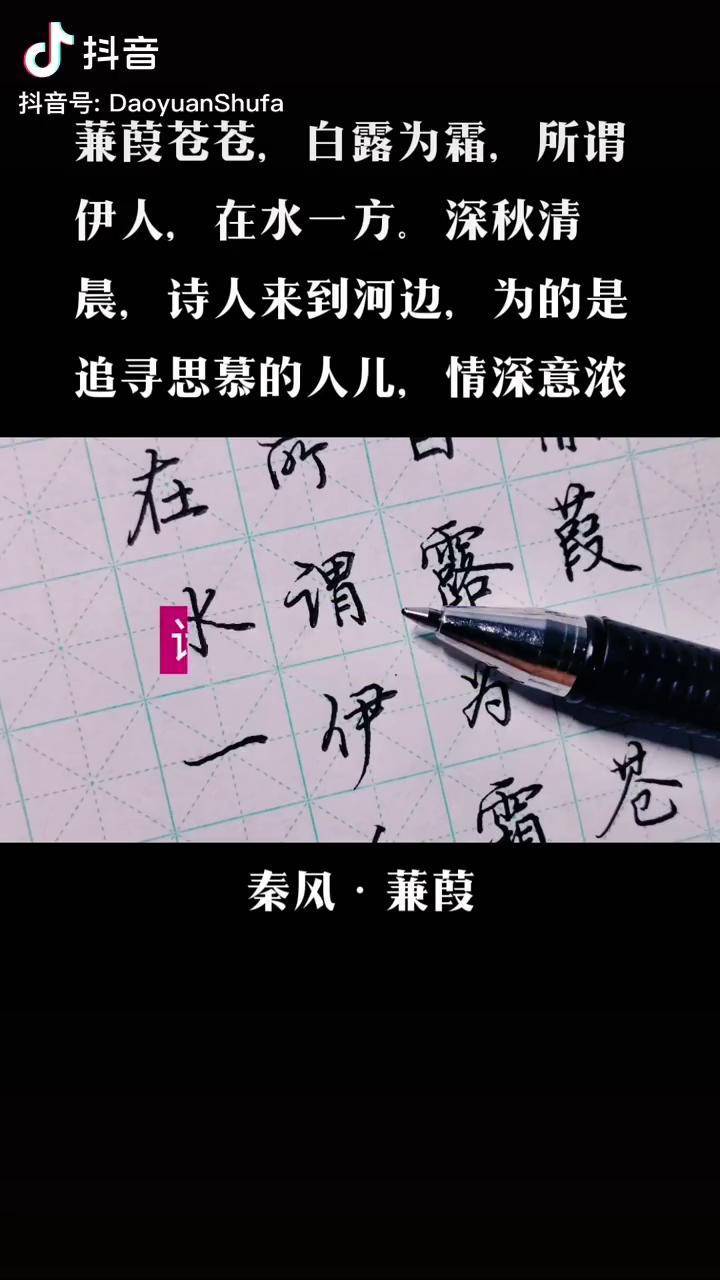 蒹葭抄写图片字丑图片