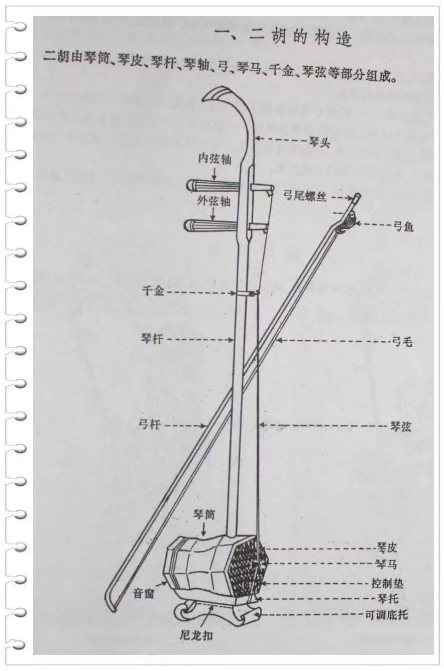 二胡琴筒尺寸图图片