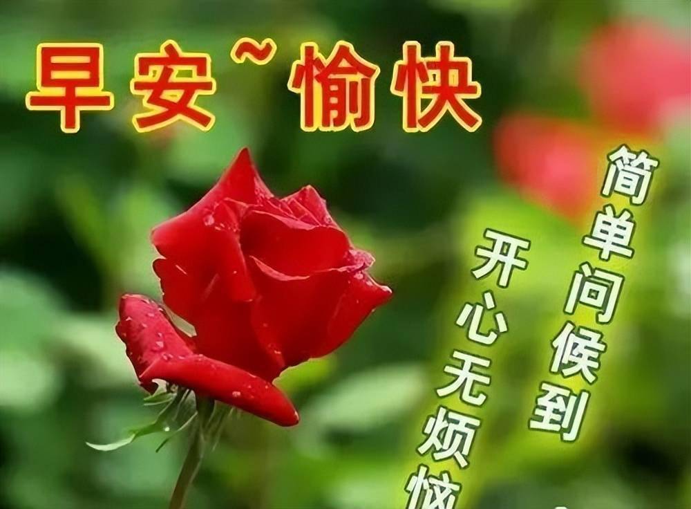 今日最新早上好表情包夏日酷暑高温一定要照顾好自己